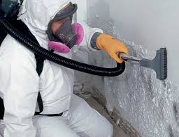 Best HVAC Mold Inspection and Cleaning in USA